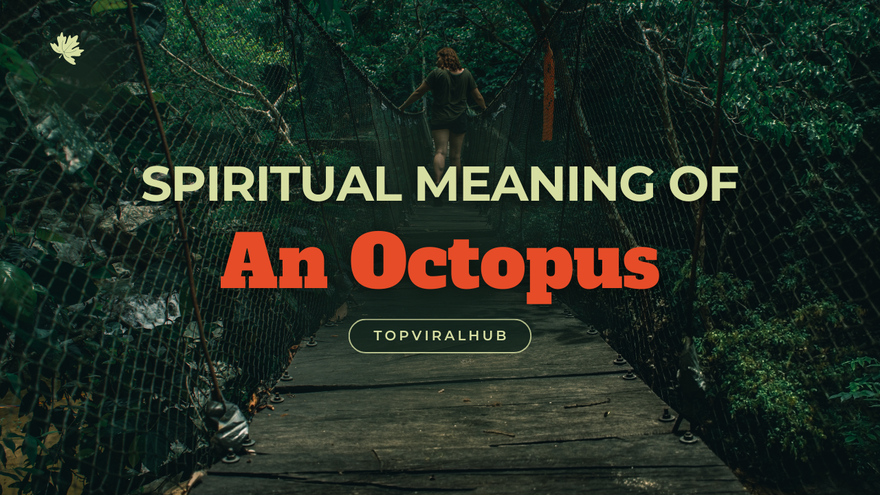Spiritual Meaning Of An Octopus