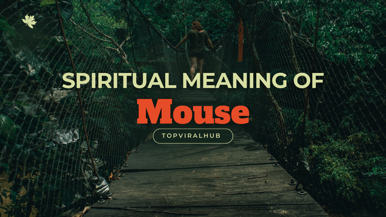 Spiritual Meaning Of Mouse
