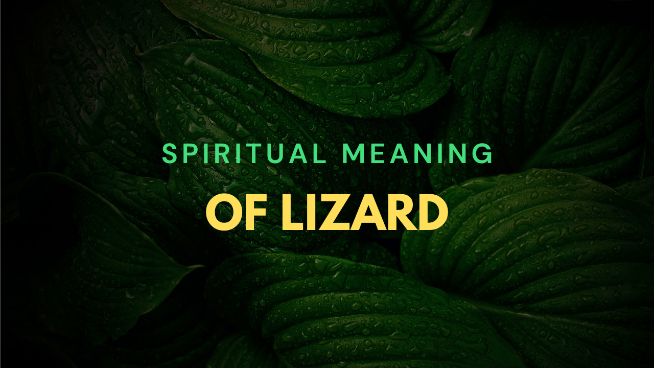 Spiritual Meaning Of Lizard