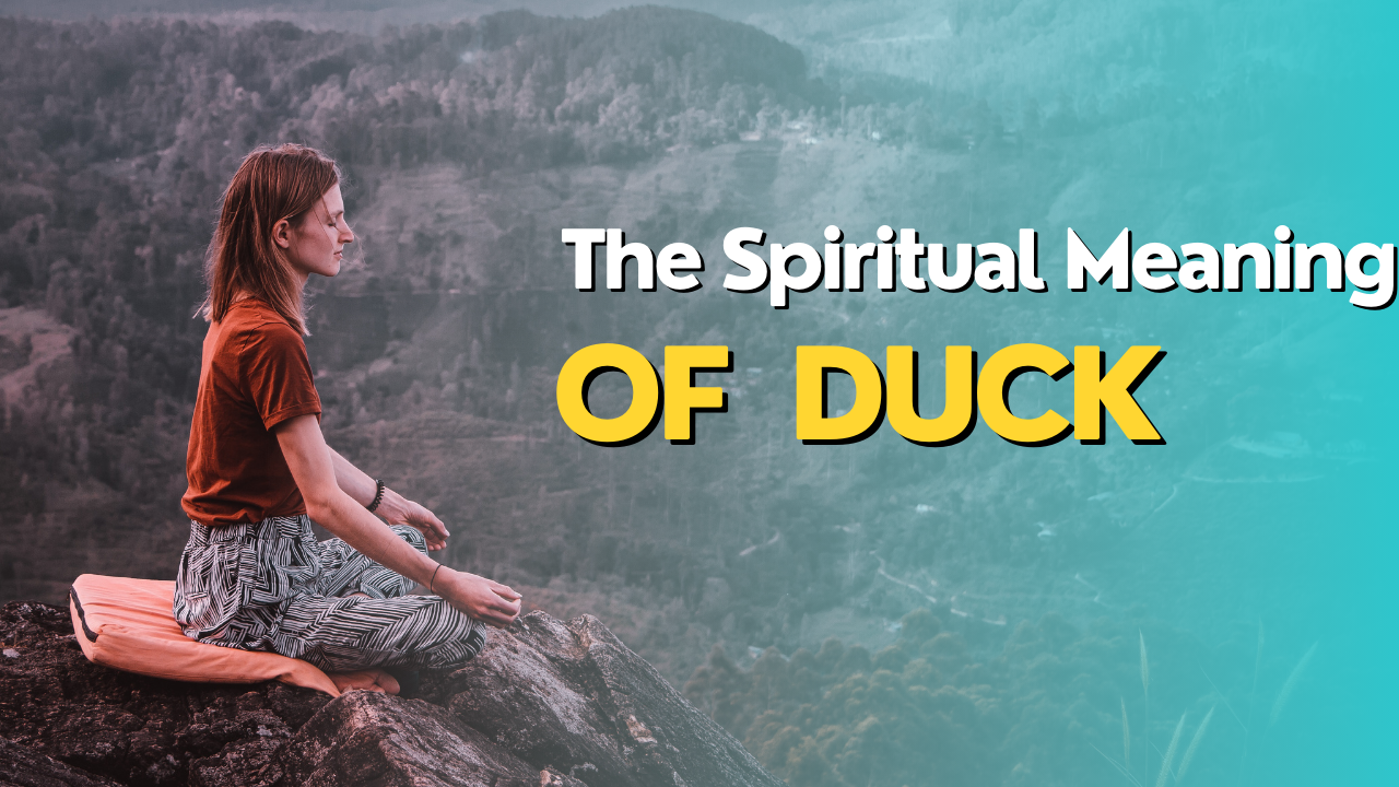 The Spiritual Meaning of Duck